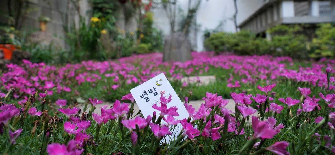 Byulbam Guesthouse Gwangju Metropolitan City Luaran gambar